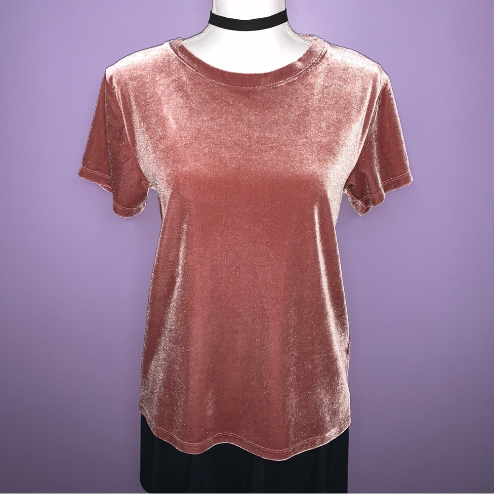 Abercrombie & Fitch Mauve Velour Top
